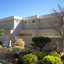 Lake Oswego Painting - Side of House