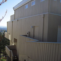 Lake Oswego Painting - Rear of House